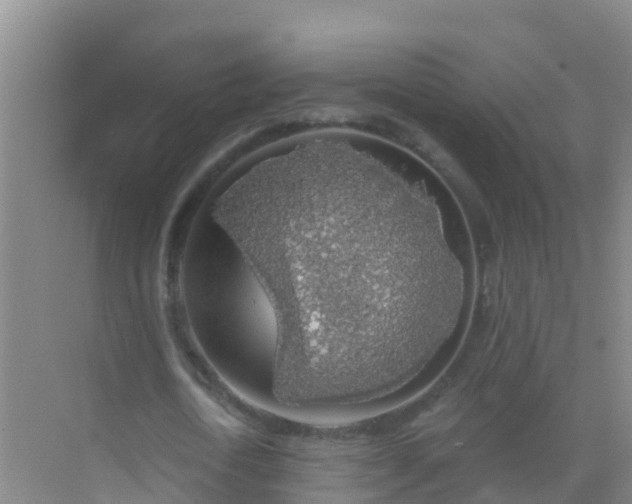 X0000072970722200607282321