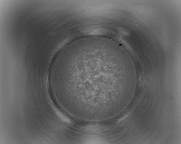 X0000072970725200607282321