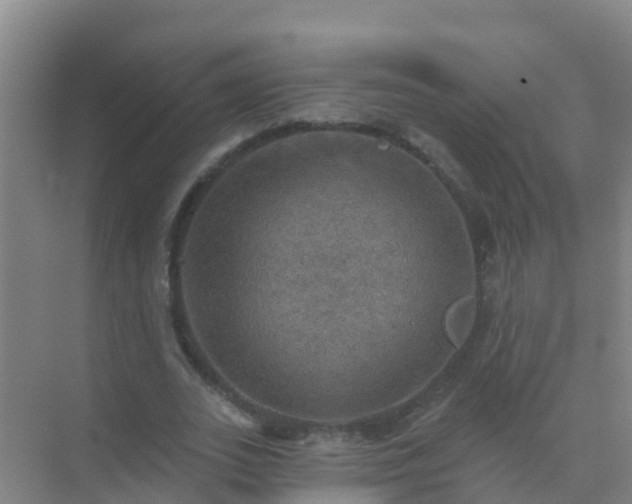 X0000072970727200607282321