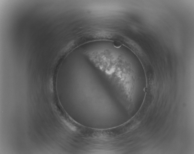 X0000072970729200607282321