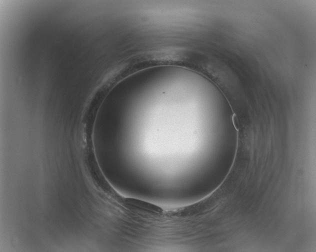 X0000072970731200607282321