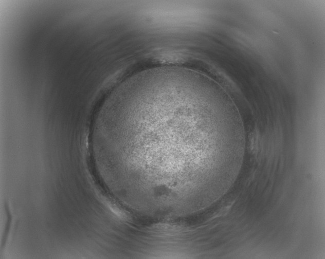 X0000072970733200607282321