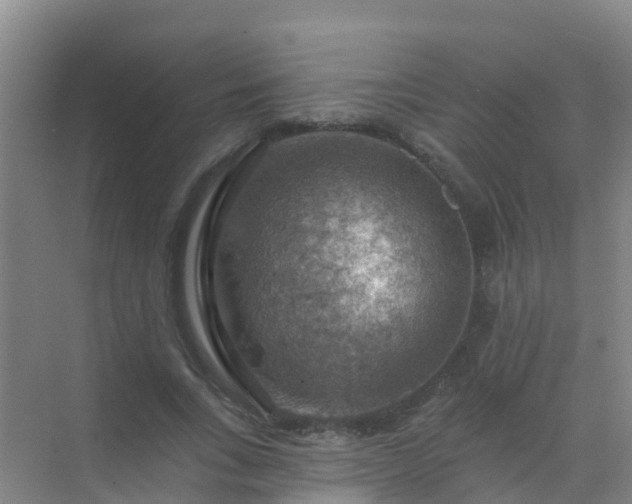 X0000072970735200607282321