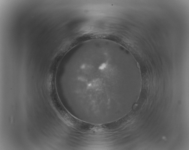 X0000072970742200607282321