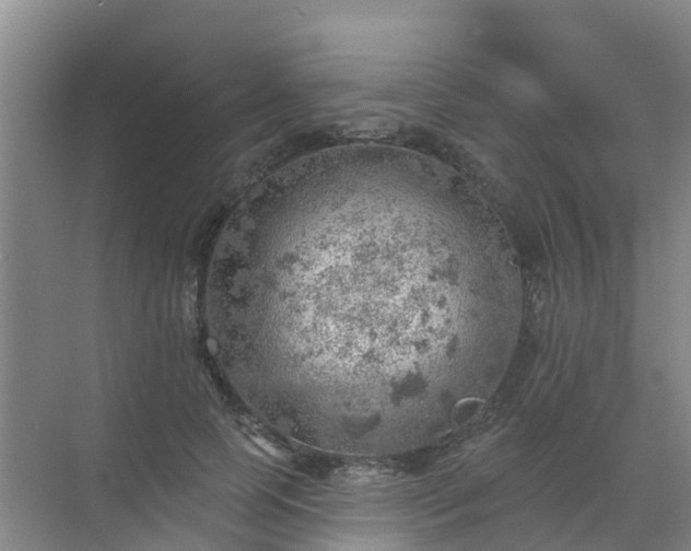 X0000072970745200607282321