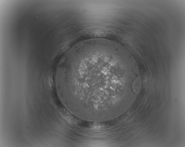 X0000072970746200607282321