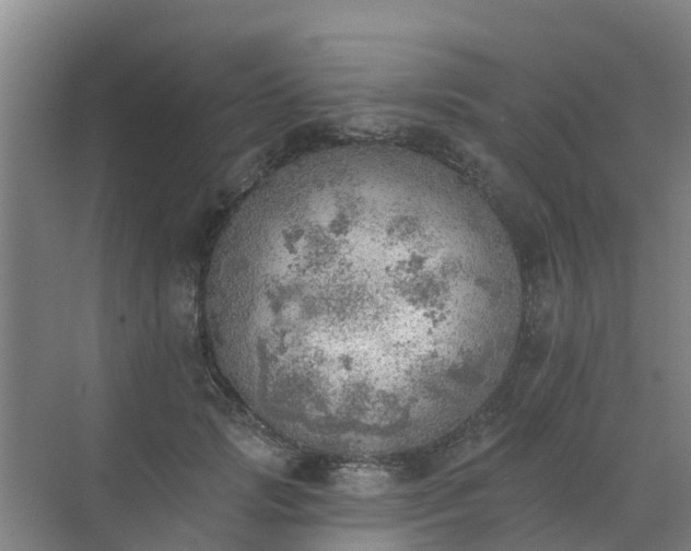 X0000072970749200607282321