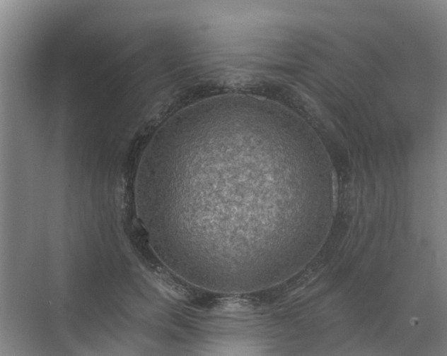 X0000072970750200607282321