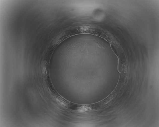 X0000072970754200607282321