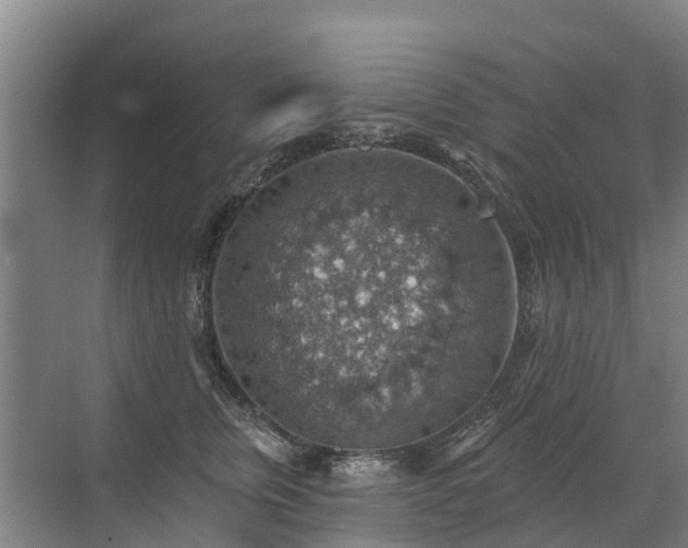 X0000072970759200607282322