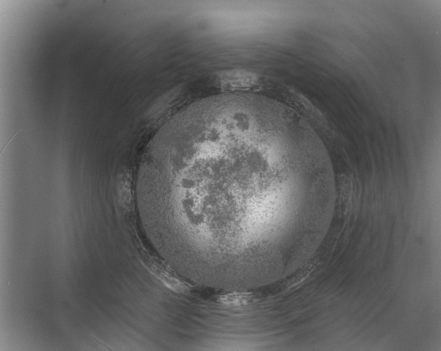 X0000072970761200607282322