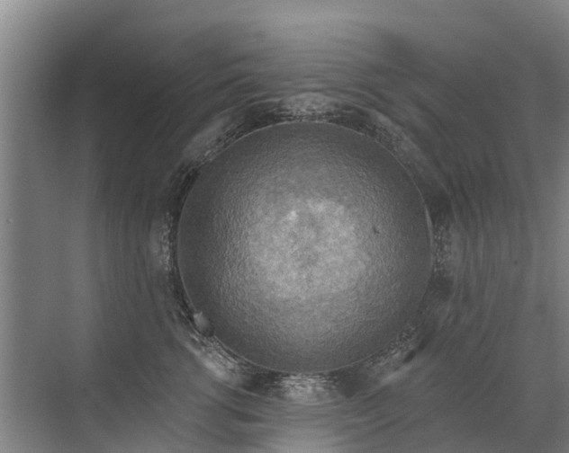 X0000072970762200607282322