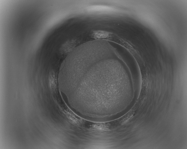 X0000072970763200607282322