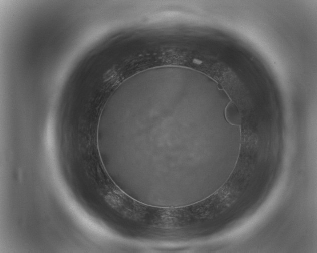 X0000072970765200607282322