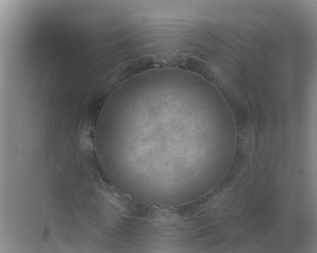 X0000072970770200607282321