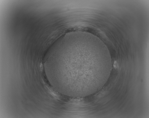 X0000072970771200607282321