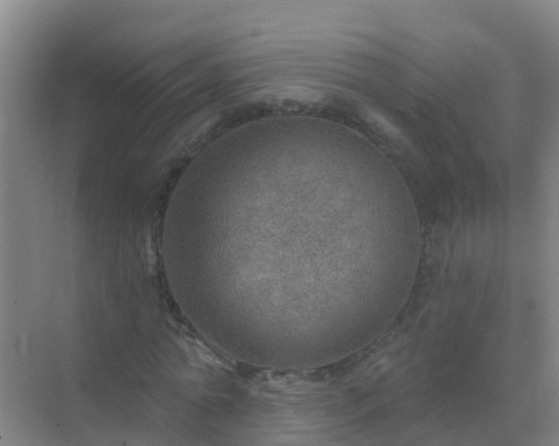 X0000072970774200607282321