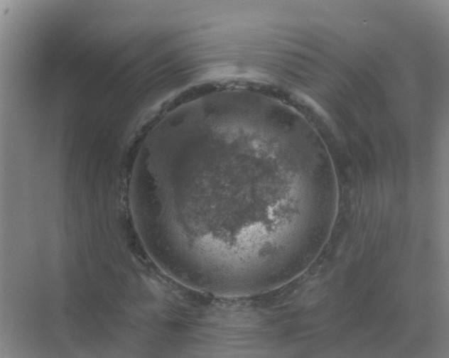 X0000072970775200607282321