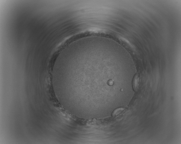 X0000072970776200607282321