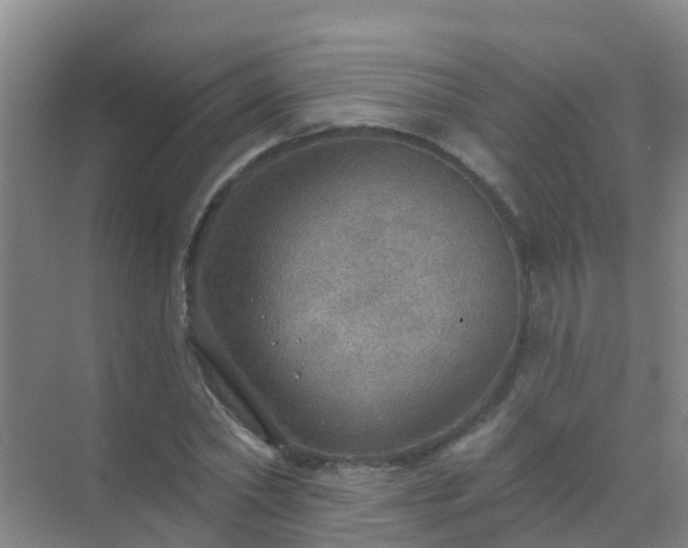 X0000072970782200607282321