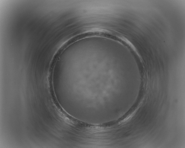 X0000072970783200607282321