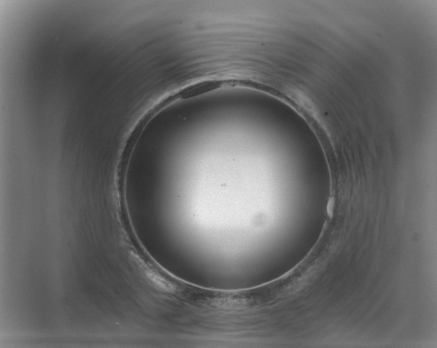 X0000072970789200607282321