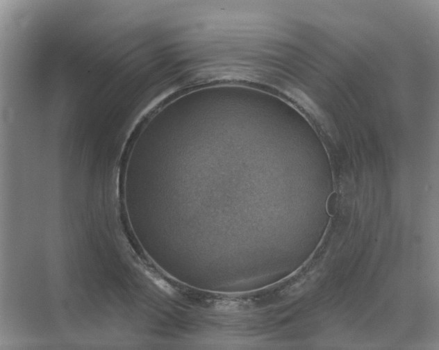 X0000072970790200607282321