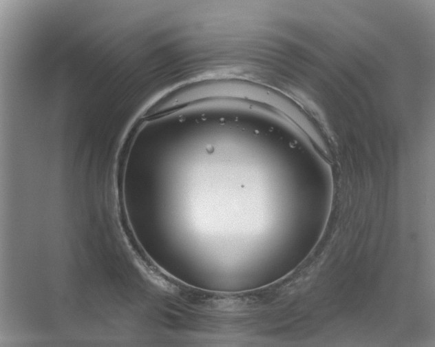 X0000072970792200607282320