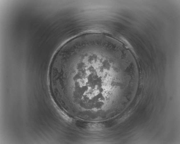 X0000072970795200607282320