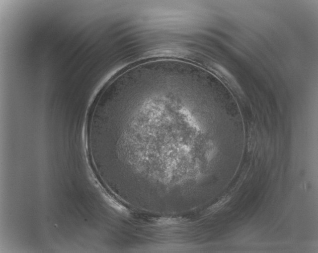 X0000072970796200607282320