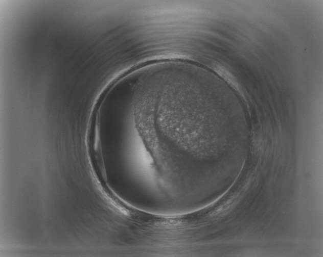 X0000072970797200607282320