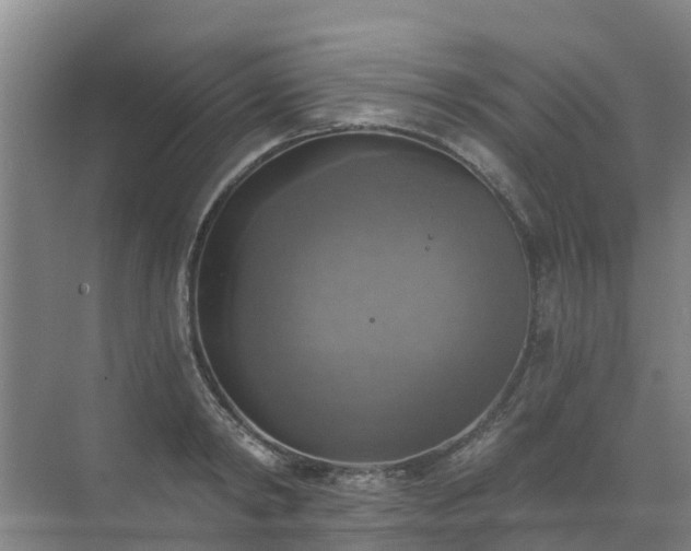 X0000072970798200607282320