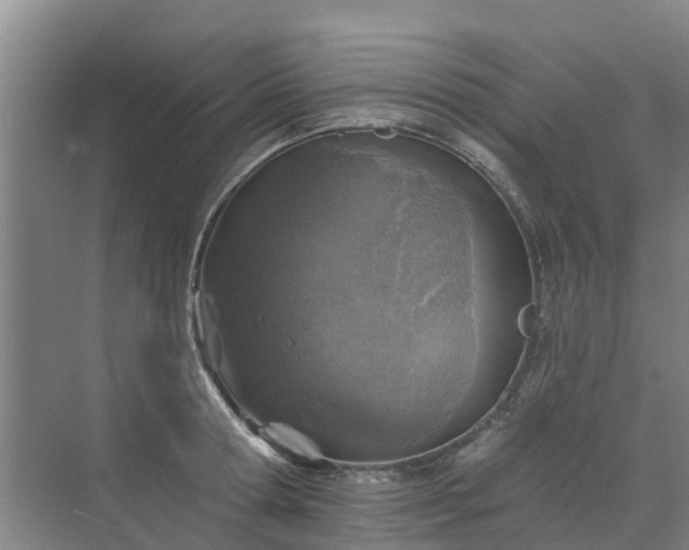 X0000072970802200607282320