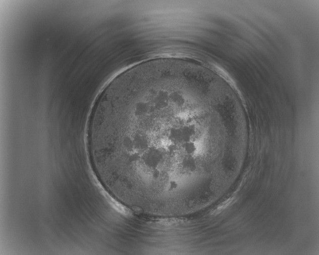 X0000072970803200607282320