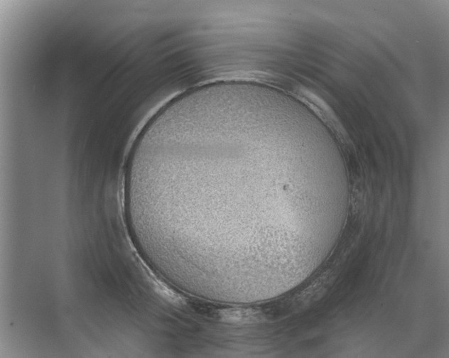 X0000072970804200607282320