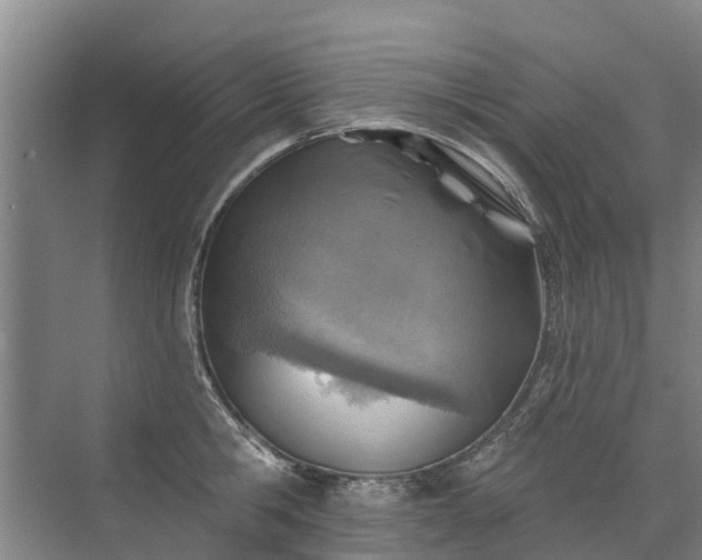 X0000072970806200607282320