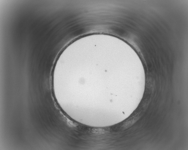 X0000072970807200607282320