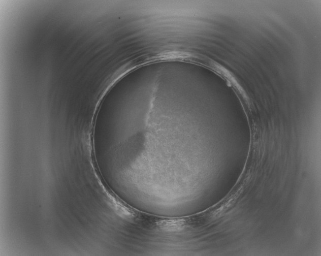 X0000072970810200607282320