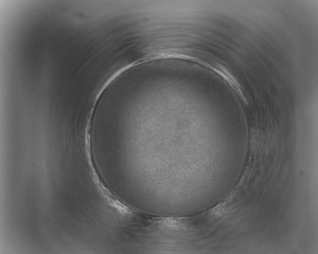 X0000072970814200607282320