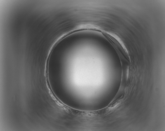 X0000072970815200607282320