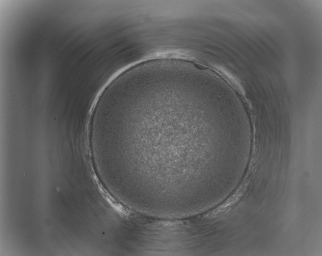 X0000072970816200607282320