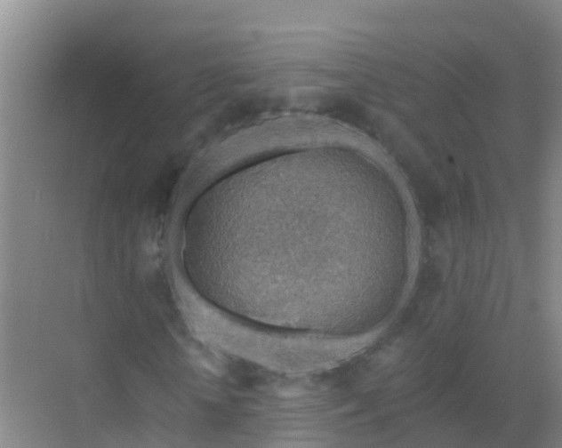 X0000072970818200607282319