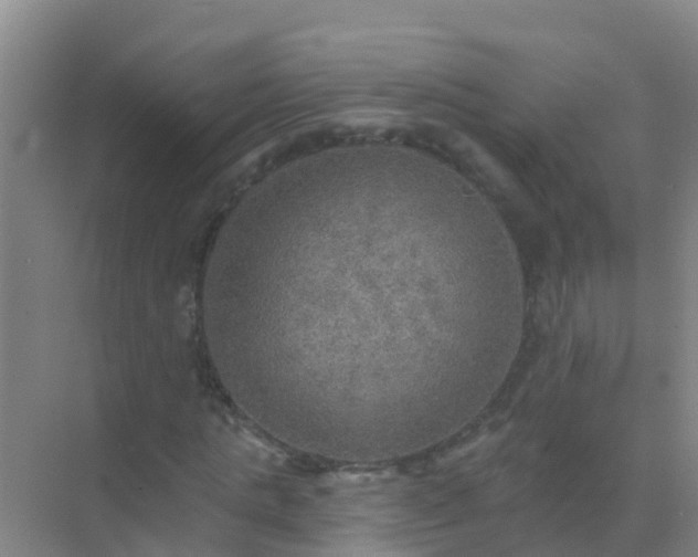 X0000072970821200607282319