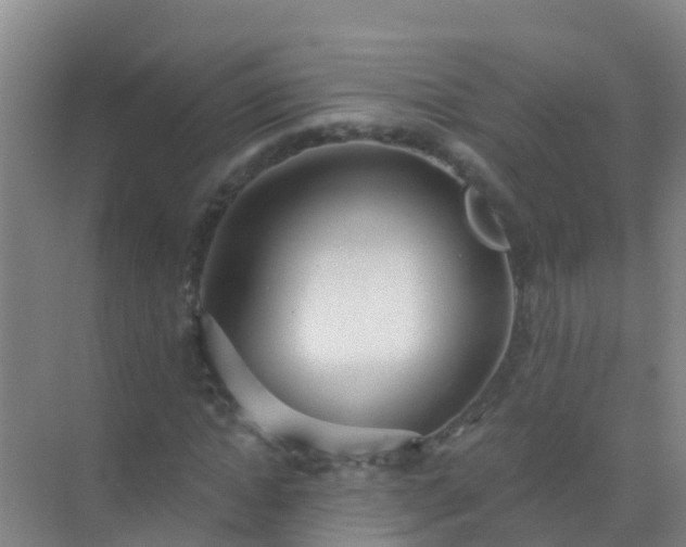 X0000072970822200607282319