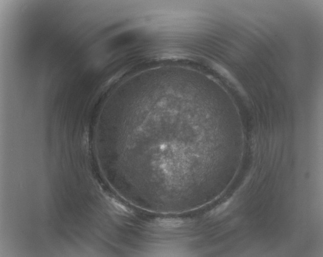 X0000072970825200607282319