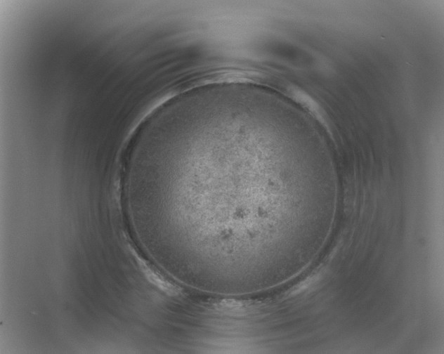 X0000072970827200607282319