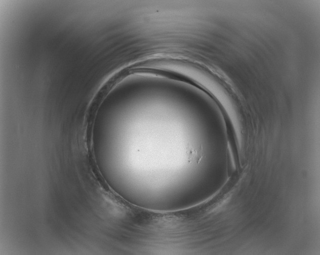 X0000072970830200607282319