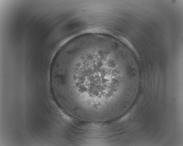 X0000072970831200607282320