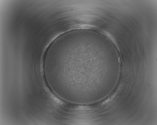 X0000072970835200607282320