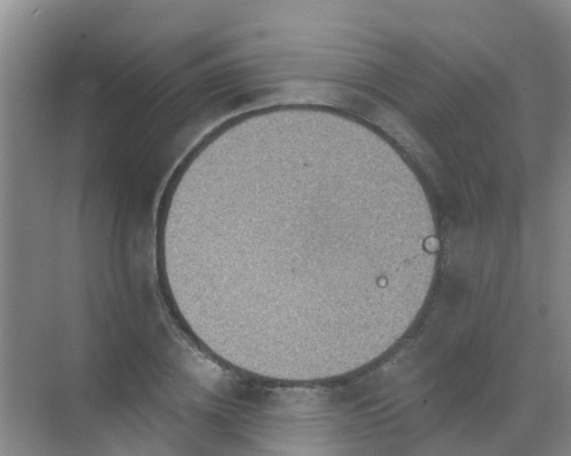 X0000072970836200607282320